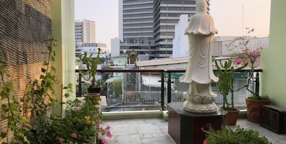 Biệt thự XANH 85m2 giá 17 tỷ xe hơi vào nhà Nguyễn Trọng Tuyển Phú Nhuận.