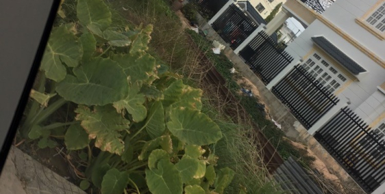 Bán đất 150m2 5x30(60m2) thổ cư, SHR ngay MT Mỹ Xuân - Ngãi Giao giá :450trieu