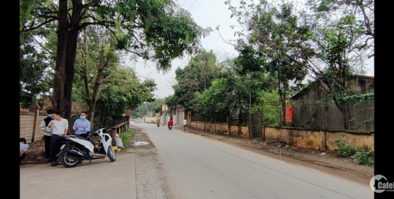 Bán đất phân lô hà đông mt5, đường 5m, giá 10tr/m