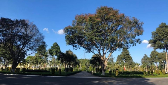 Sale lớn đất nền thổ cư Cần Thơ