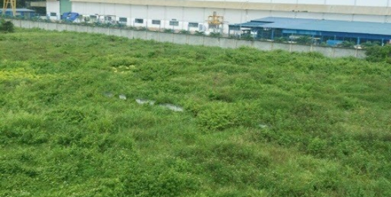 Bán đất công nghiệp 50 năm tại Thạch Khôi TP. Hải Dương DT 15.000m2