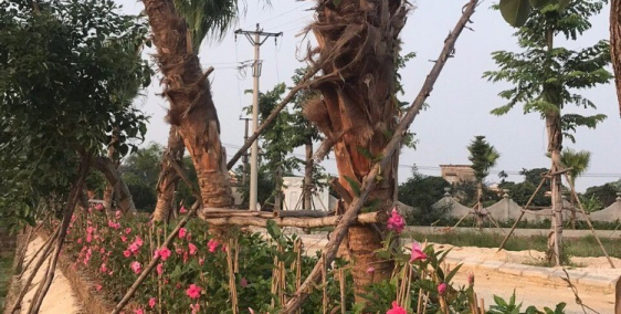 Đất nền sổ đỏ mặt đường Thái Hà – Đối điện làng Mẹo, giá chỉ từ 8tr/m2