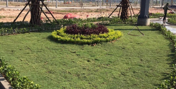 Mở bán các suất đất nền dự án hưng thịnh golden land bình dương chỉ 789tr