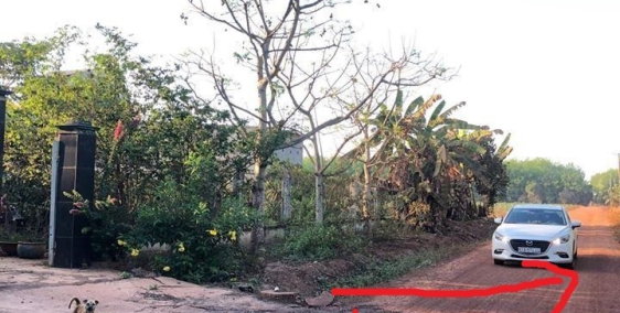 Đáo Hạn Nghân Hàng Bán Bớt 1060m2 đất Dầu Tiếng- Bình Dương, Giá rẻ 390tr/ SHR