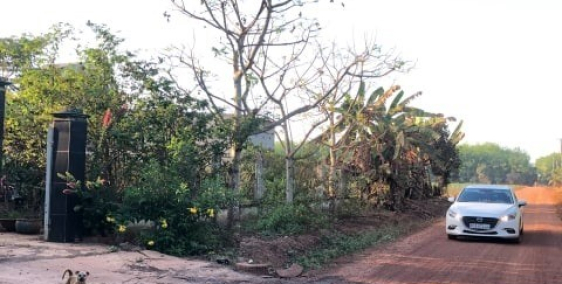 Cần bán đất chính chủ Dầu Tiếng Bình Dương giá rẻ (390TR/1000m2)