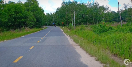 Đất mặt tiền View hồ Dầu Tiếng sổ hồng riêng chính chủ tại Minh Hòa