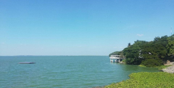 Đất nghỉ dưỡng xây nhà yến sát hồ Dầu Tiếng Bình Dương (1000m2)