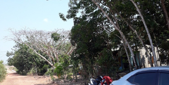 Kệt tiền cần bán lô đất chính chủ, sát đường DT744 Dầu Tiếng Bình Dương (320TR/1