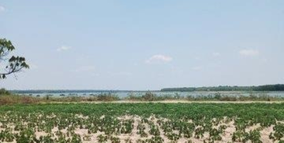 Bán lô đất Dầu Tiếng Bình Dương view Hồ Dầu Tiếng ( 389tr/1000m2 )