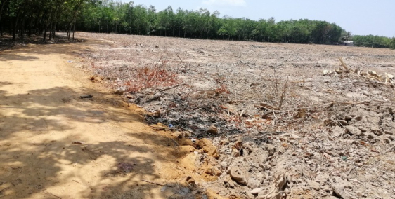 Đất sào Dầu Tiếng chỉ 330tr/sào . Đất đẹp bằng phẳng sổ hồng riêng cc ngay