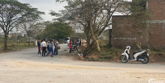 Bán đất đối diện TTHC quận tp Hải Phòng – giá mới chỉ 1x( tiểu học)