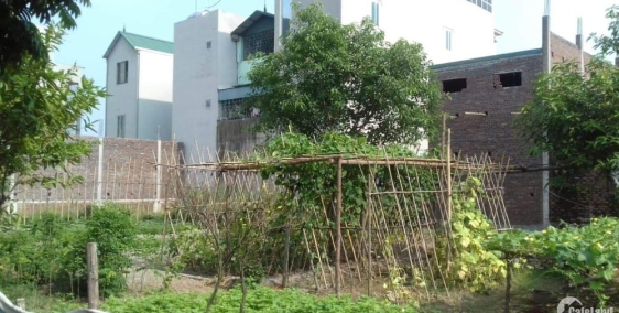 Chủ Nhà Cần Bán Nhanh Lô Đất Cổ Bi 47m2 Giá Chỉ 22tr/m.