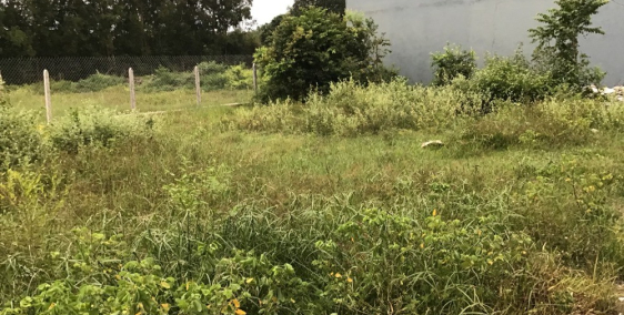 Đất thổ cư giá rẻ cho anh chị nào tài chính 300 triệu cần đầu tư sinh lời