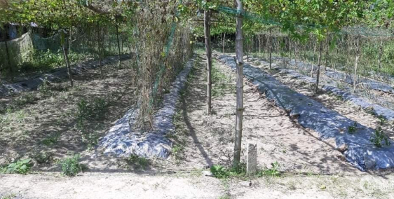 Bán 400m2 đất Hòa Khương giá sập hầm