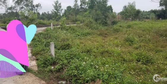 Bán đất 2MK  thôn Phú Sơn Nam, Hòa Khương, Hòa Vang ,giá 480tr, lh 0768456886