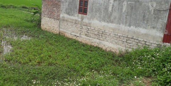 cc cần bán lô đất 100m2 cạnh ủy ban nhân xã hùng dũng, hưng hà, thái bình 800tr