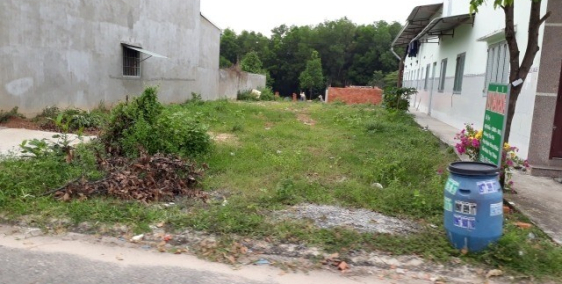 bán miếng đất MT Quách Điêu, Xã Vĩnh Lộc A, Bình Chánh 4x12m