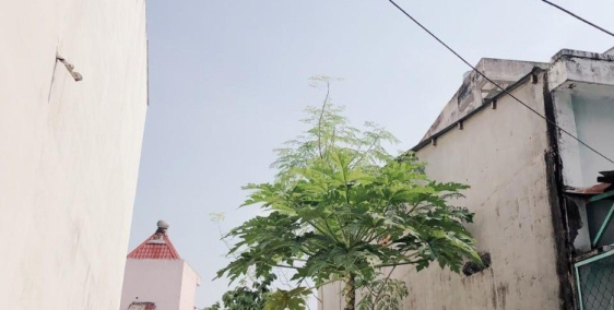 Bán Lô đất hẻm Bà Điểm 5, hóc môn,5x16m2 giá 1 tỷ 400tr/80m2