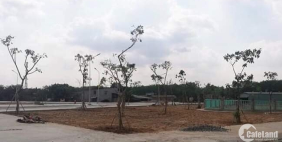 Bán đất mt đường lý thái tổ,nhơn trạch.ngay chợ đại phước.giá 800tr/100m2.shr