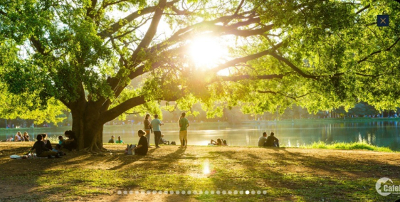 KING BAY - MANNHATTAN ISLAND - ĐẲNG CẤP HỘI TỤ.LH: 0909439047