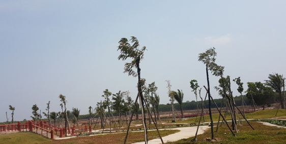 ĐẤT NỀN THỔ CƯ NGAY TRUNG TÂM HÀNH CHÍNH NHƠN TRẠCH