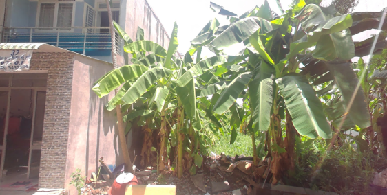 Hẻm xe tải Đ.Gò Dưa, TĐ_DT 55m2 đủ thổ cư_sổ riêng