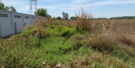 Bán đất giá đầu tư Phú An TX Bến Cát có đường đất 7m.100m mặt tiền