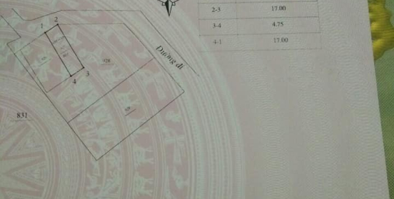 Đất ngõ 6 đường Nguyễn Tất Thành,Khai Quang,Vĩnh Yên,vĩnh phúc