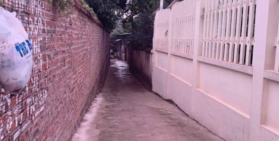 Bán Gấp LÔ Đất Ngõ 8 CHÙA HÀ, VĨNH YÊN VP