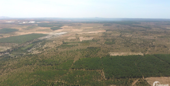 Bán vài lô đất Bình Thuận Sông Lũy giá chỉ 50 nghìn /m2 bao sang tên công chứng