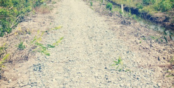 Bán miếng đất vườn tại xã Thạnh Hoà huyện Bến Lức tỉnh Long An