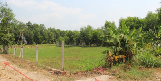 Bán đất 2 mặt tiền gần tỉnh lộ 7 (KCN Tây bắc) 634 m2 -Thái mỹ - Củ Chi - 850tr