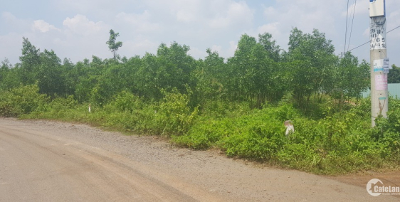 Bán 8000m2 đất mặt tiền 80m đường nhựa lớn.