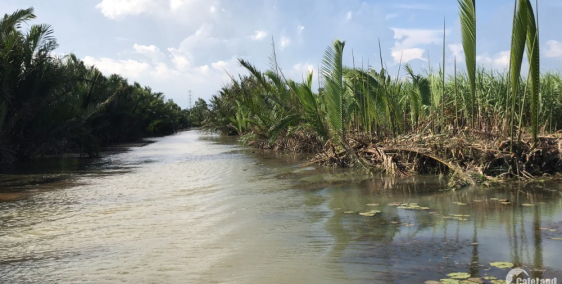 Đất 1000m2 mặt tiền sông Phước Khánh giá tốt