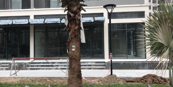 Gia chủ không có nhu cầu sử dụng nên cho thuê shop tại P12 VHOP