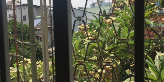 Cho thuê toàn bộ căn nhà mặt tiền