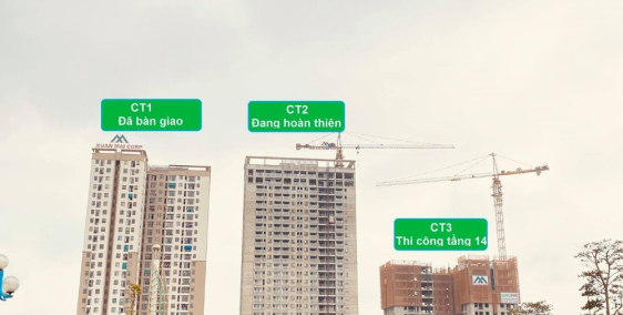 Bán và cho thuê chung cư Xuân Mai Thanh Hóa.