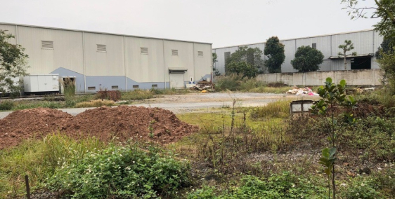 Bán nhanh xưởng cực mới 1,35ha, mặt đường 196, Văn Lâm - HY. Giá tốt. lh 0835459