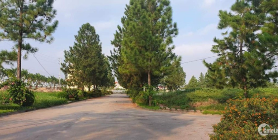 Cơ hội trong khó khăn: The Phoenix Garden và những lí do nên mua bây giờ