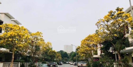 Cần bán 1 số căn suất ngoại giao liền kề ST5 Gamuda 90m giá từ 9ty4