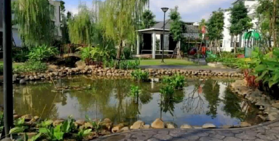 Chính chủ cần bán gấp căn góc giữa ngay trục cổng chính ST5 Dahlia Homes