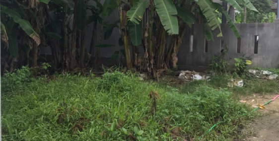 BÁN NHANH ĐẤT SỔ ĐỎ BÙI THỊ XUÂN DIỆN TÍCH LỚN GIÁ RẺ