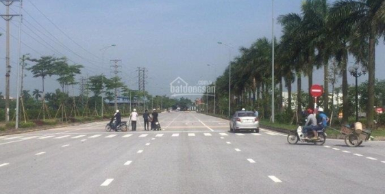 Chính chủ cần bán đất Dự án V Green City Phố Nối Hưng Yên