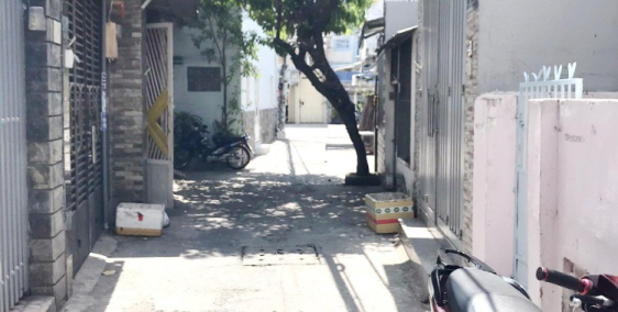 Nhà Hẻm Xe Hơi Dã Tượng P10 Q8