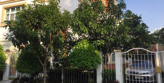 New! Biệt thự đẹp khu Mỹ Phú 1, Phú Mỹ Hưng đang cần tìm khách thuê TP HCM