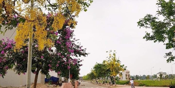 chính chủ bán đất nam Vĩnh Yên Giá đầu tư