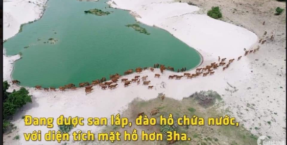 Đất Bình Thuận giá rẻ, Sông Lũy, Hồng Thái 65.000/m2, đã có sổ