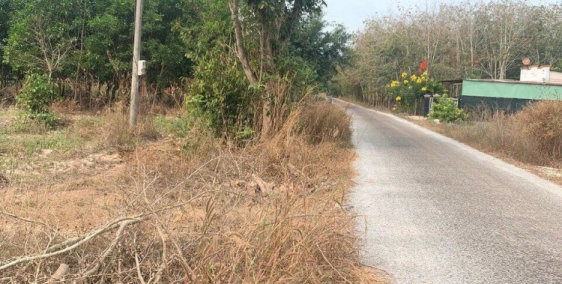 Kẹt tiền bán lô đất mặt tiền đường nhựa (20x60) – Dầu Tiếng BD