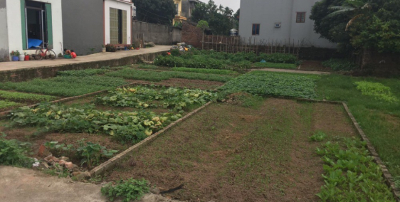 Tìm Hiểu Về Đất Đai Đặng Xá, Gia Lâm, Hà Nội. Đất 42m2 đường 5m mà giá 26tr/m2