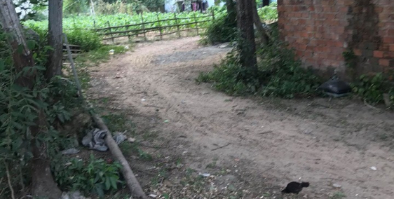 Đất kiệt thôn Nam Sơn, Hòa Tiến, dt 120m2,giá 640tr, lh 0768456886